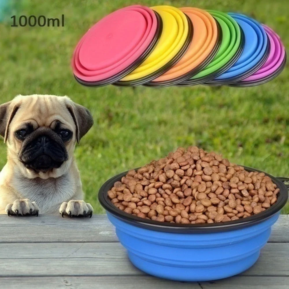 pet bowl